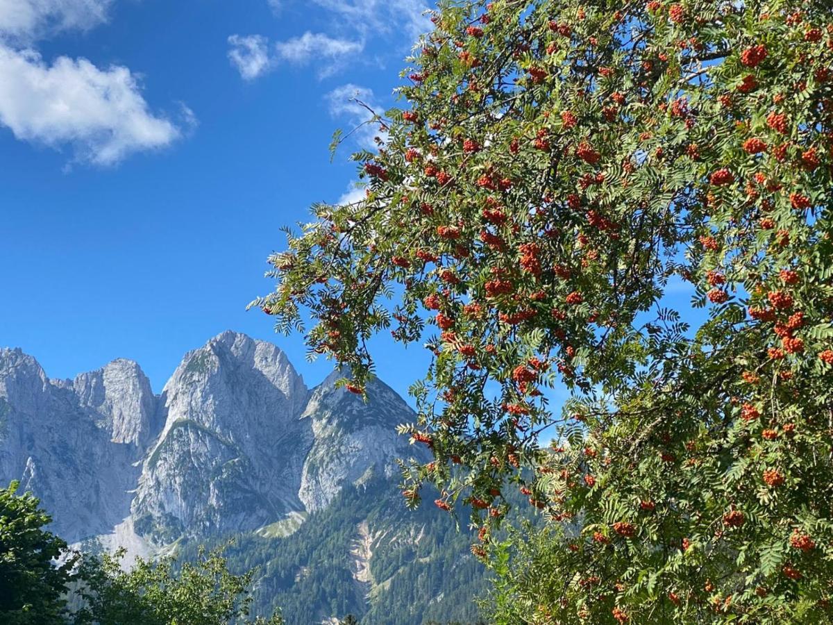 Haus Liesenfeld Gosau
